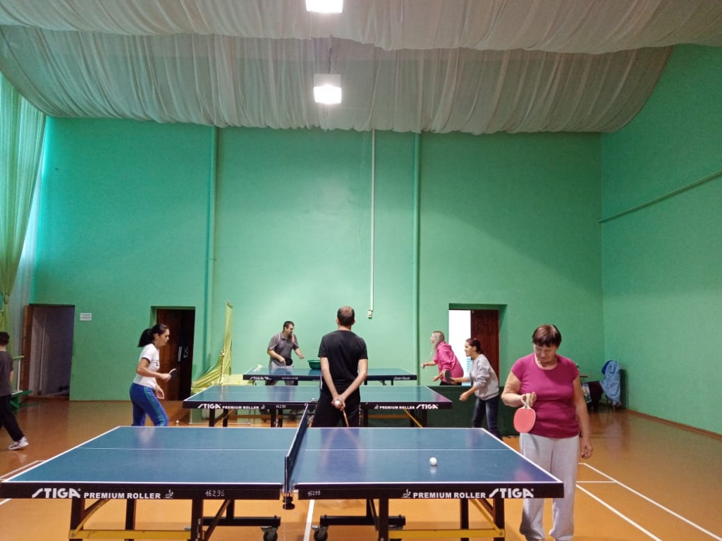В Мамадыше прошли соревнования по теннису среди пенсионеров.