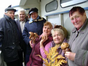 За грибами!