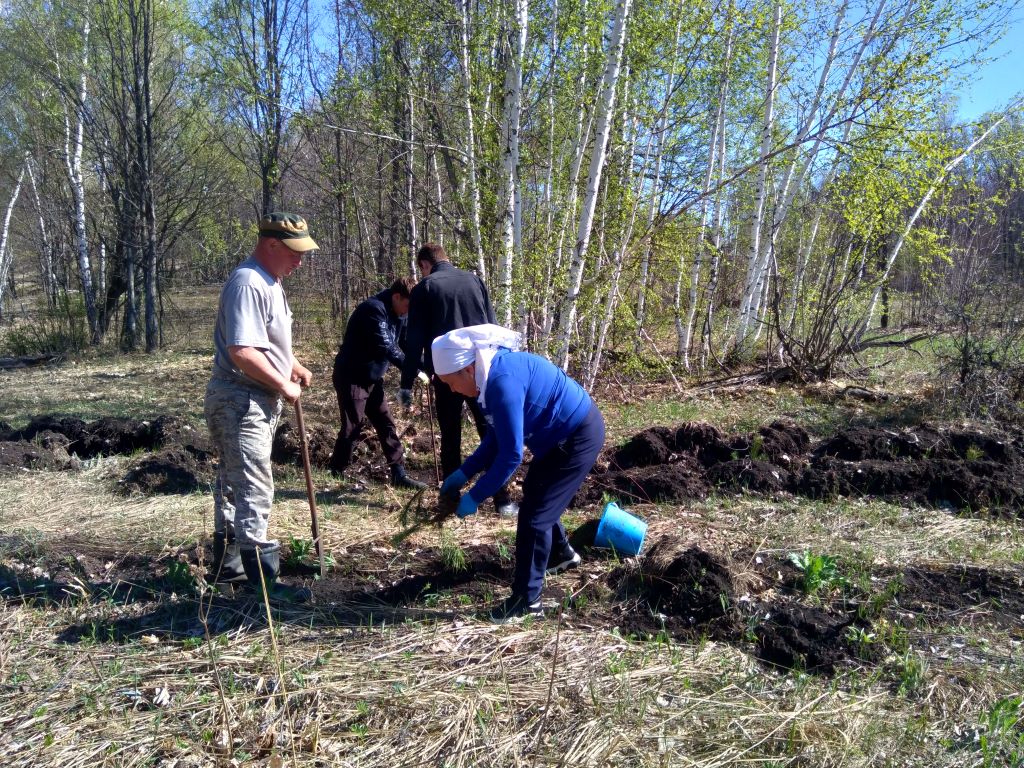 Участие в международной акции «Сад памяти»
