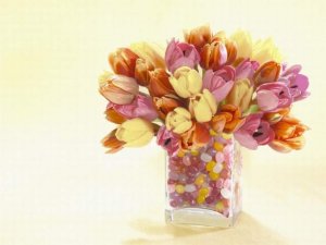 Конкурс «Приусадебный участок»