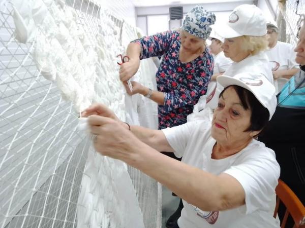 Серебряные волонтеры