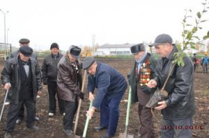 Посадка деревьев членами СПР
