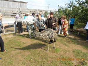 Экскурсия для ветеранов