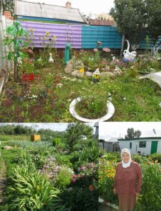 Конкурс «Приусадебный участок» Конкурс «Приусадебный участок»