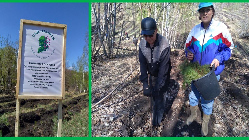 сад памяти 2.лениногорск.jpg